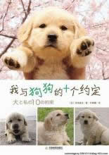 我和狗狗的十个约定
