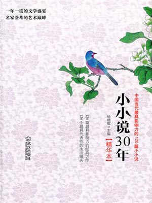 小小说30年