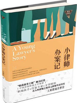 小律师办案记