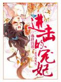 进击的宠妃
