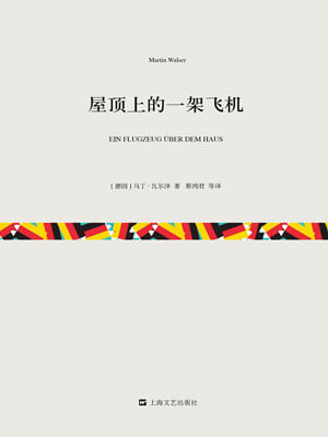 屋顶上的一架飞机