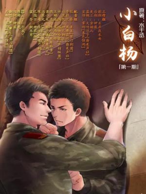 小白杨