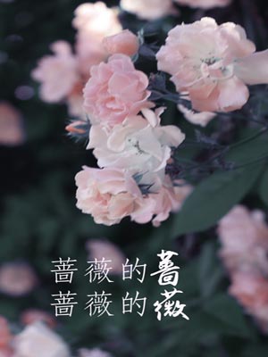 蔷薇的蔷，蔷薇的薇