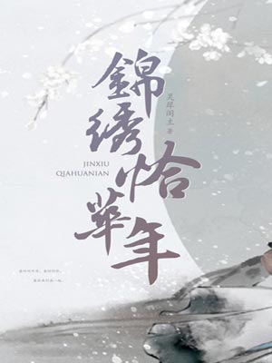 恰锦绣华年