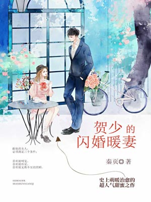 贺少的闪婚暖妻