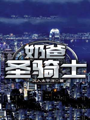 奶爸圣骑士