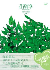 荏苒年华