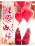 裸爱成婚