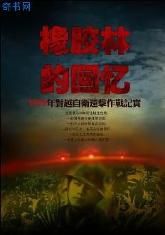 橡胶林的回忆