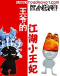 王爷的江湖小王妃