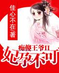 痴傻王爷II妃孕不可