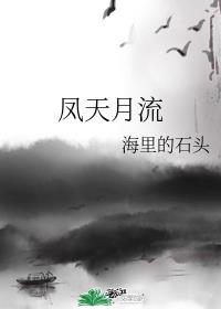 凤天月流