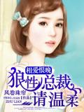 狼性总裁请温柔