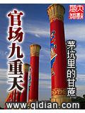 官场九重天