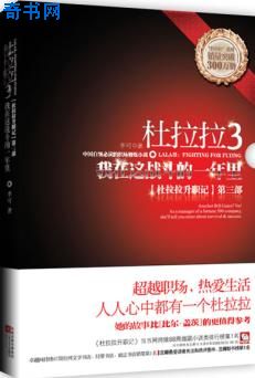 杜拉拉升职记3(我在这战斗的一年里)