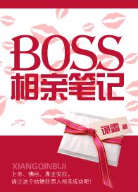 BOSS相亲笔记