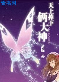 天上掉下俩大神(网游)