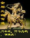 横行在异世(异世之金刚无敌传说)