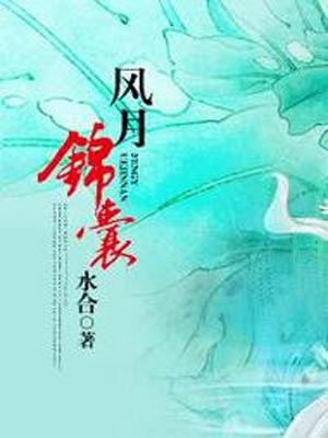风月锦囊