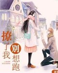 撩了我别想跑