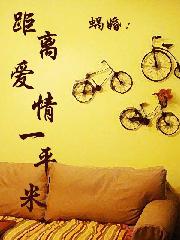 蜗婚：距离爱情1平米